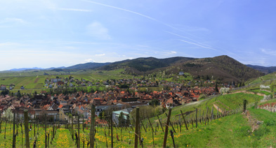 region
