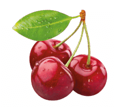 Carola cerise