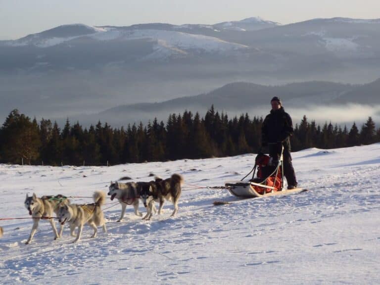 Grand Nord canadien au Lac Blanc