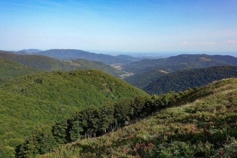 Une journée dans les Vosges : 2 idées de sorties plein air et fermes auberges