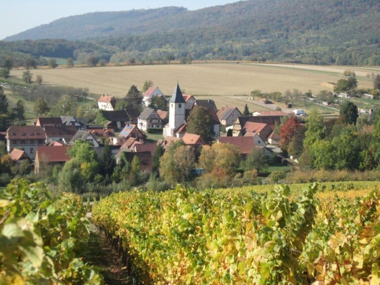 Trois balades dans les vignes