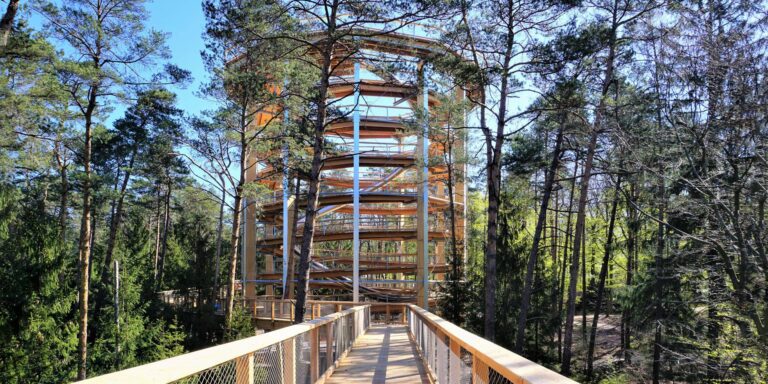 Marcher sur la cime des arbres