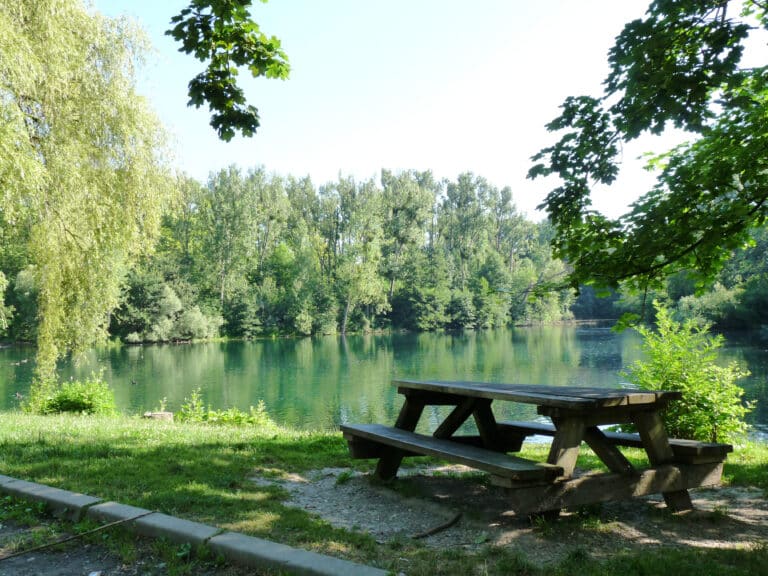 Trois balades en forêt