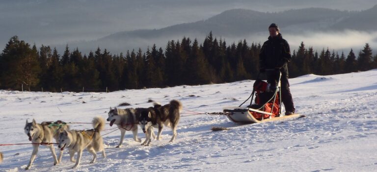 Les mushers d’Orbey