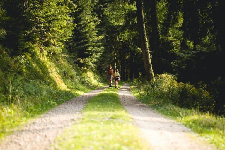 Un grand bain de forêt à Haguenau