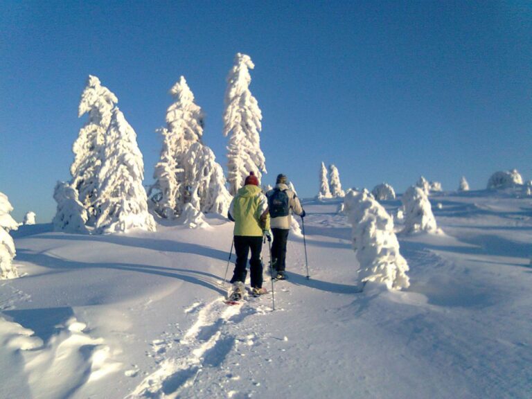 3 balades en hiver