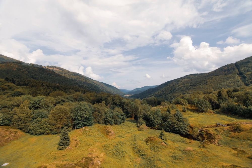 idées sorties vosges
